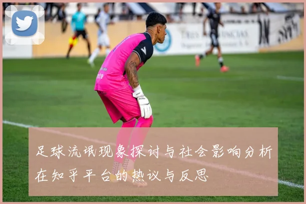 足球流氓现象探讨与社会影响分析在知乎平台的热议与反思